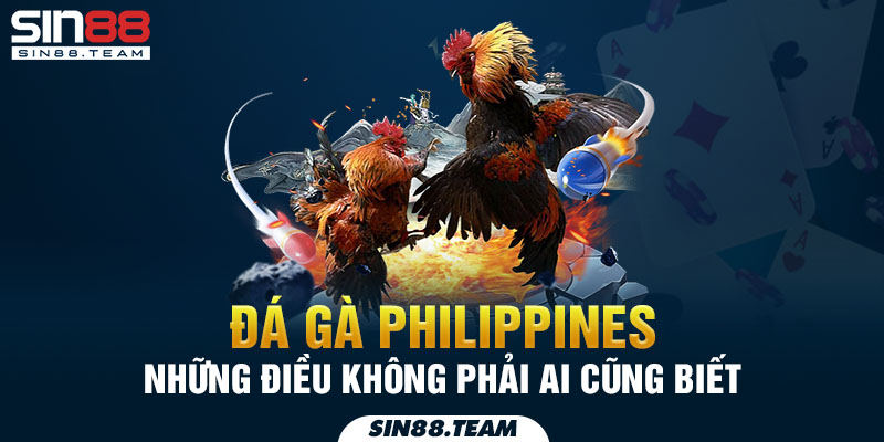 Đá gà Philippines - Những điều không phải ai cũng biết